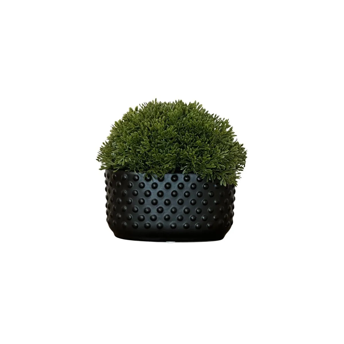 Faux Moss Bush in Black Textured Pot