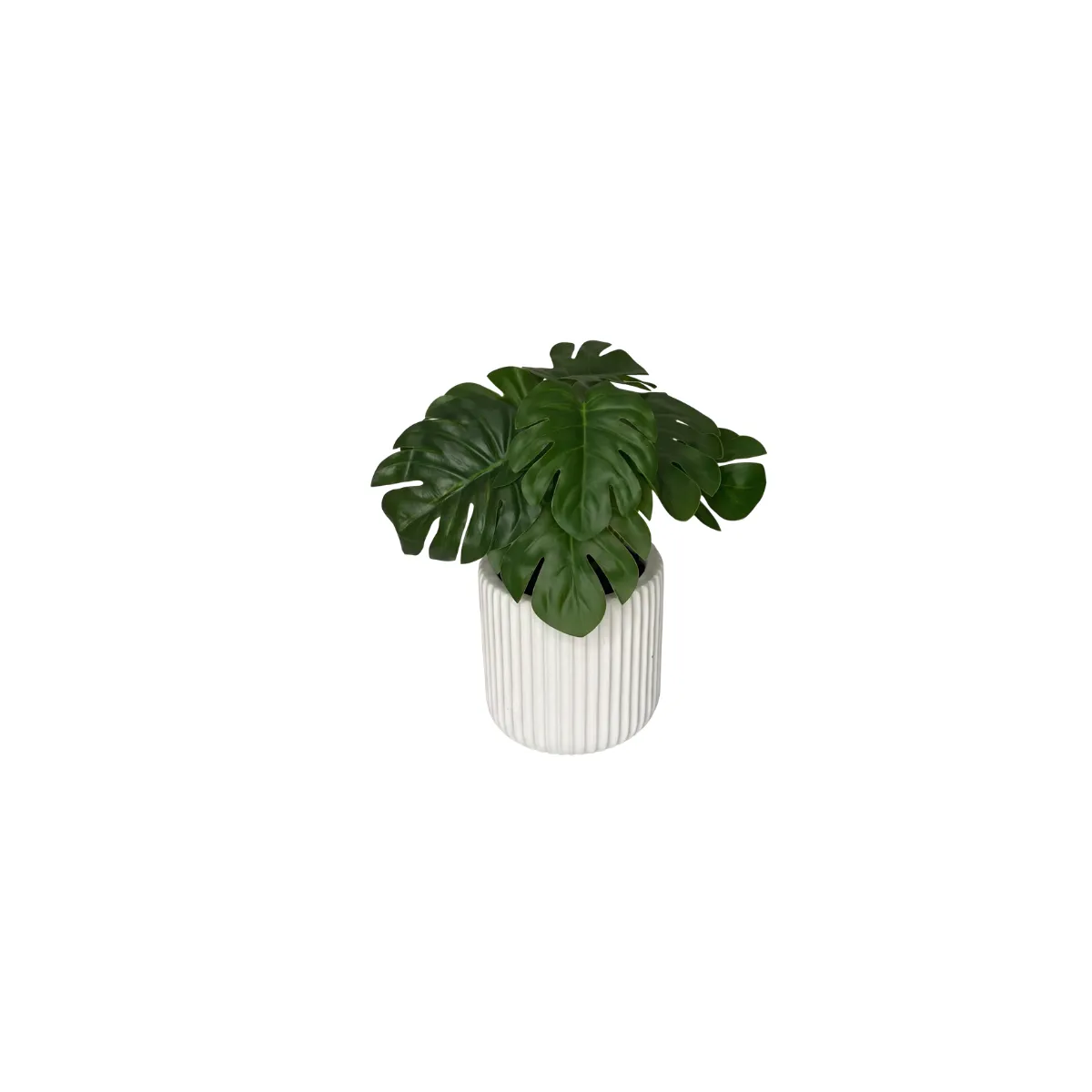 7"H FAUX MONSTERA - WHITE POT - RIBBED, SMALL
