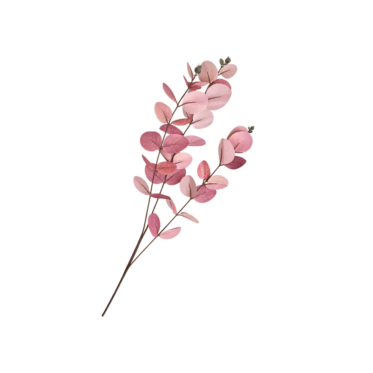 DUSTY PINK EUCALYPTUS BRANCH