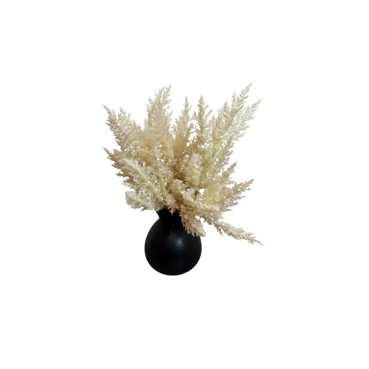 POMPOUS GRASS IN BLACK ROUND VASE