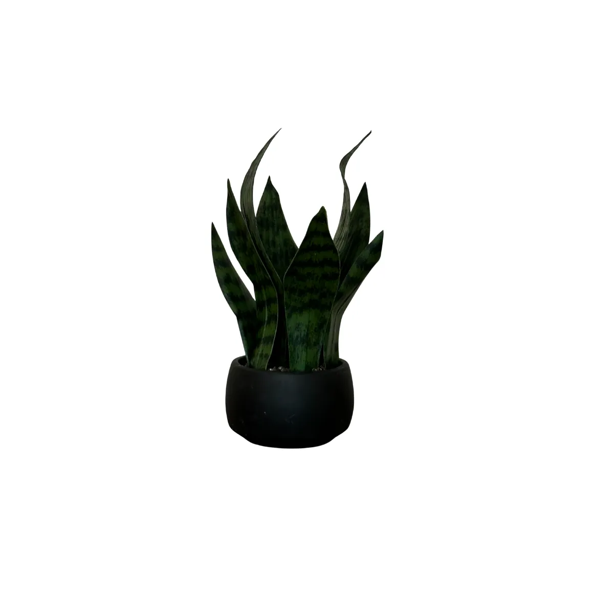 Architectural Faux Snake Plant in Matte Black Planter