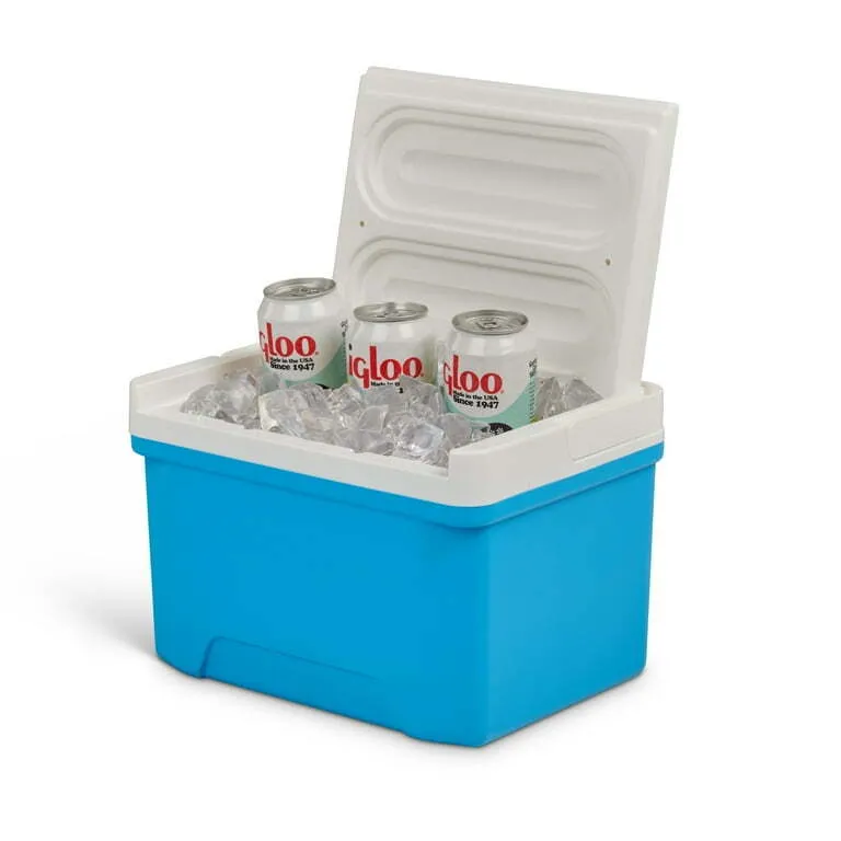 Small Ice Chest