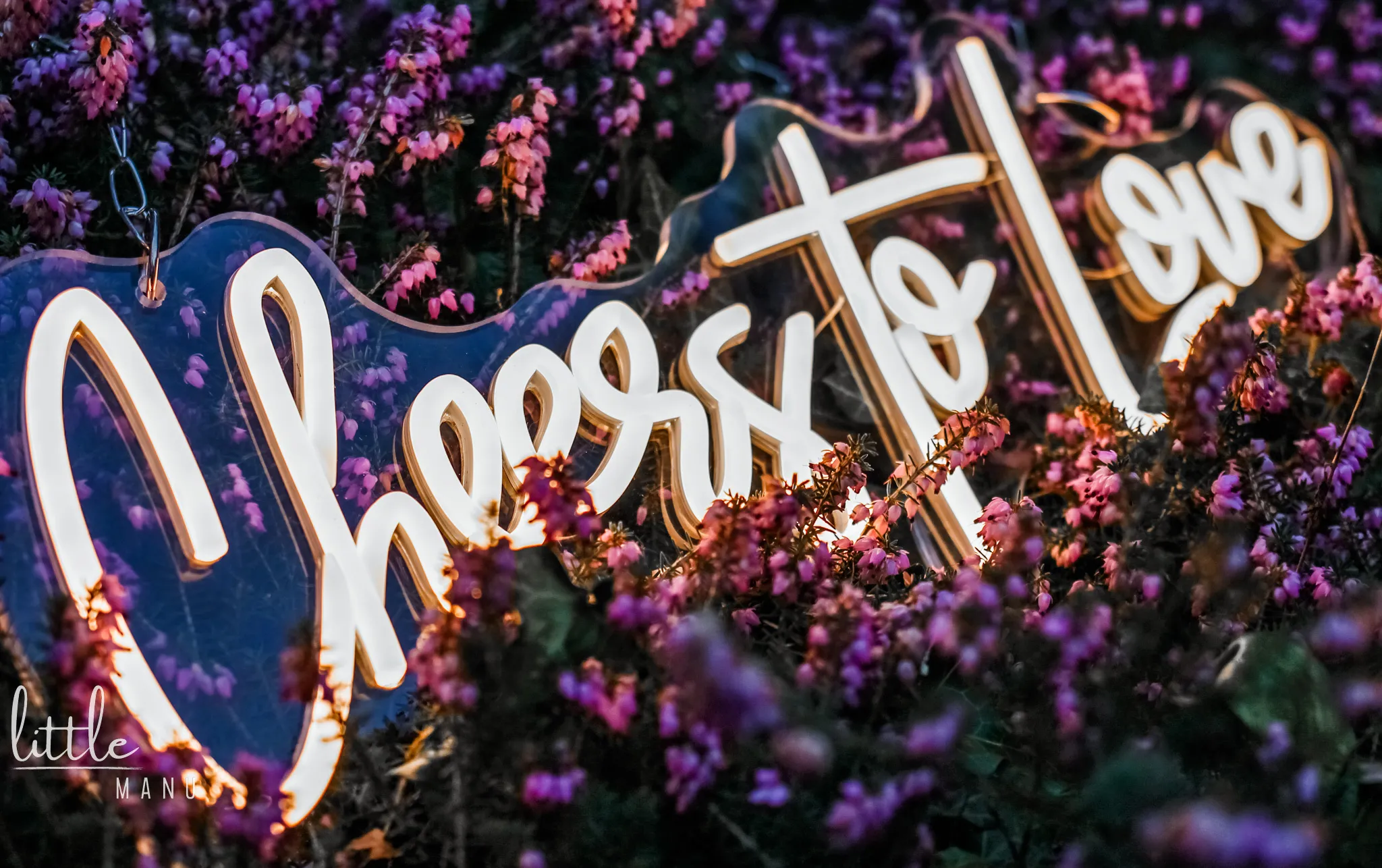 Neon-Schild "Cheers to Love"