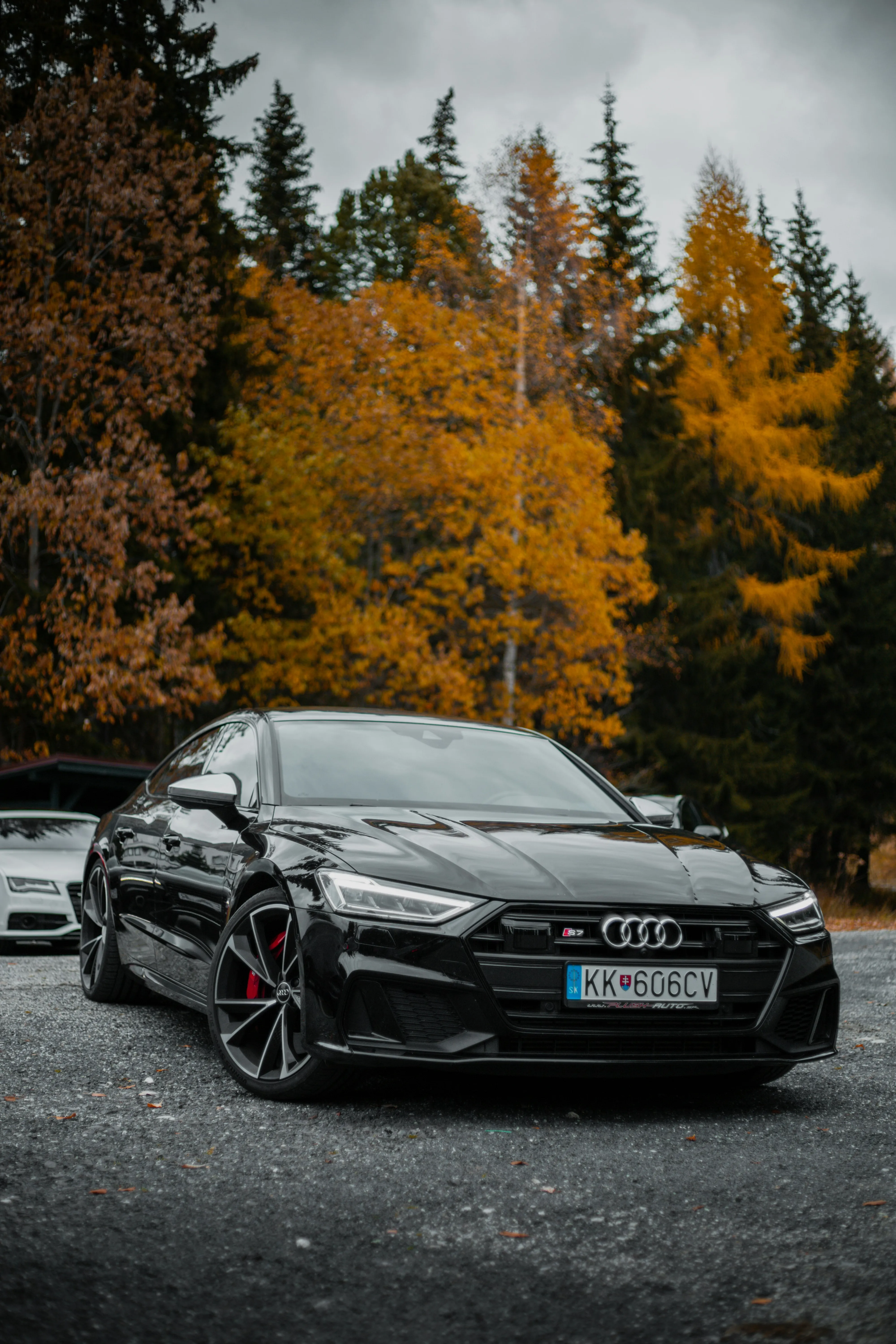 AUDI