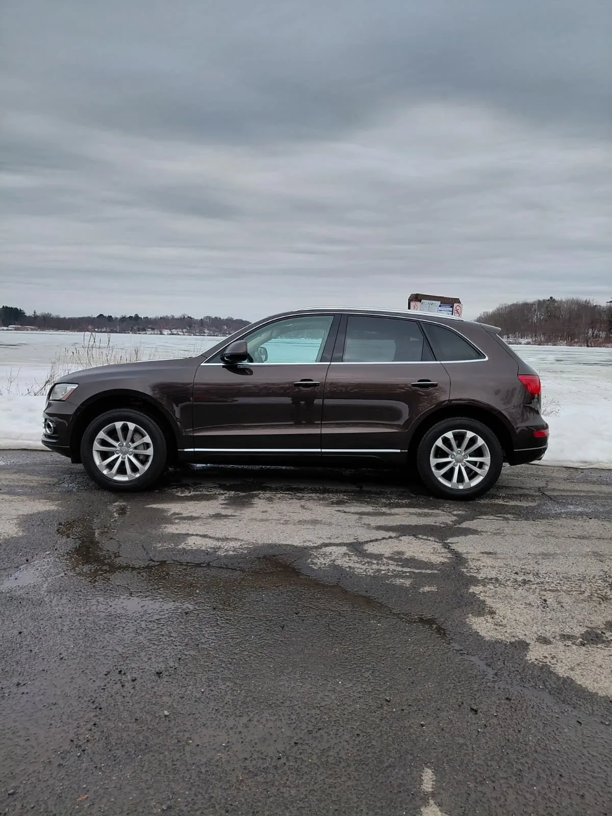 Audi Q5 (Brown)
