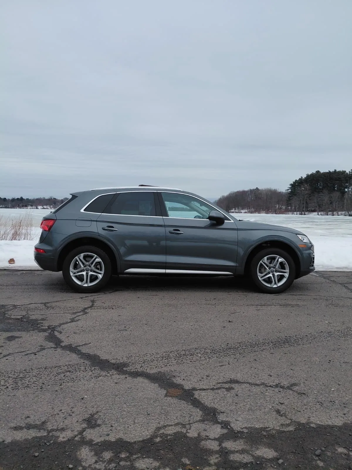 Audi Q5 (Dark Gray)