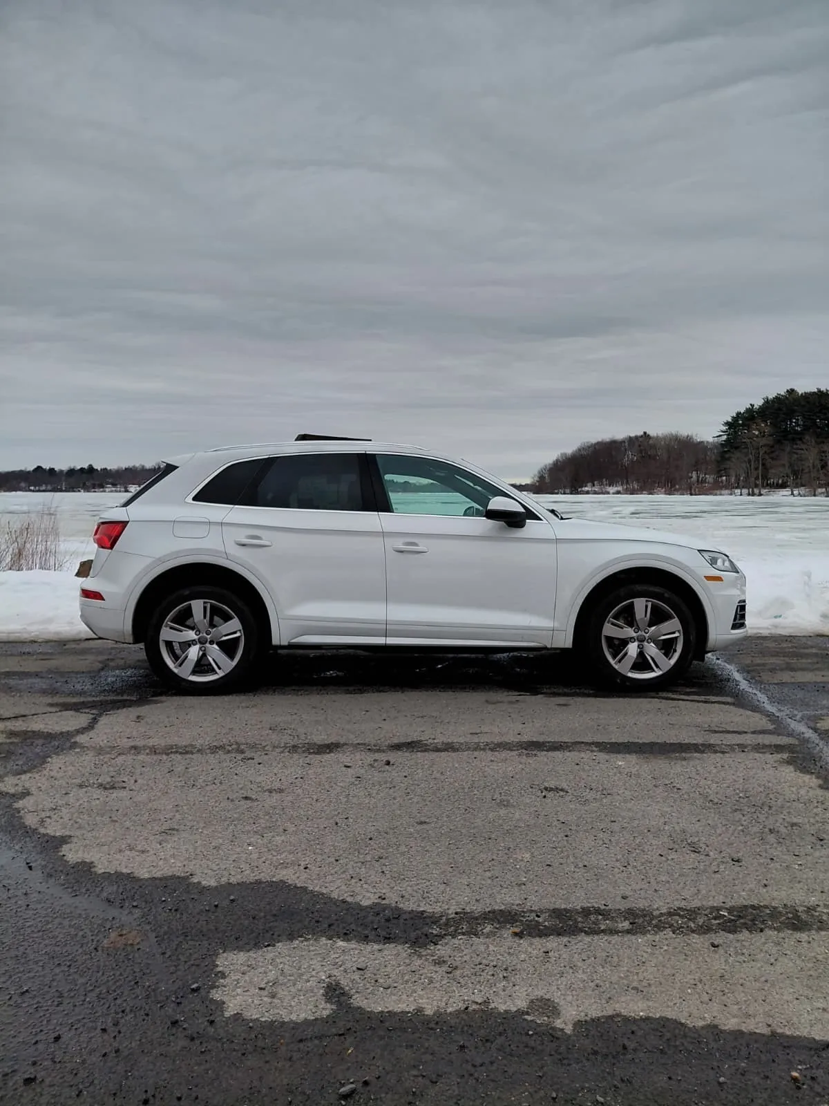 Audi Q5  (White)