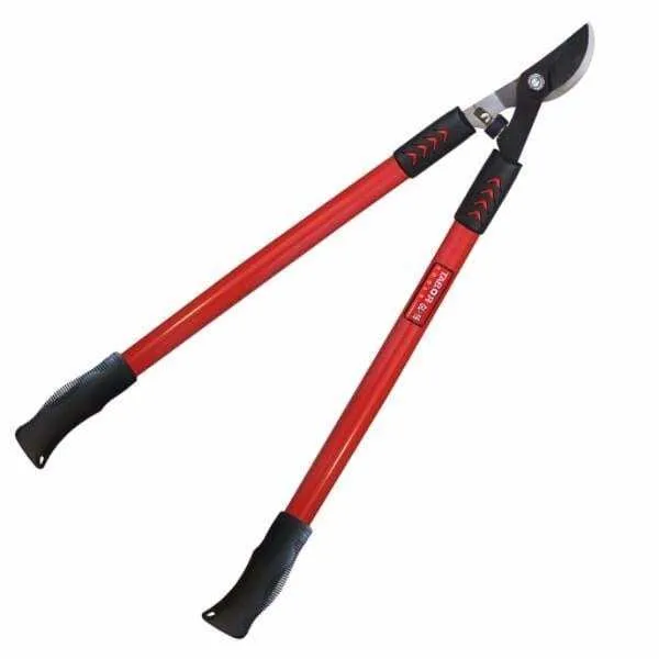 מספרי גיזום לענפים