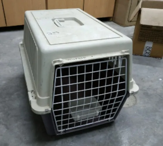 כלוב נשיאה לחתולים וכלבים בינוניים קטנים - A63