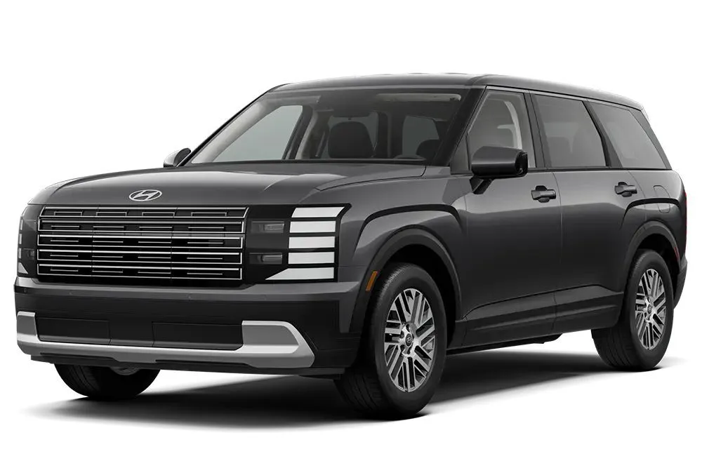 Hyundai Palisade (Palace) 8 passenger