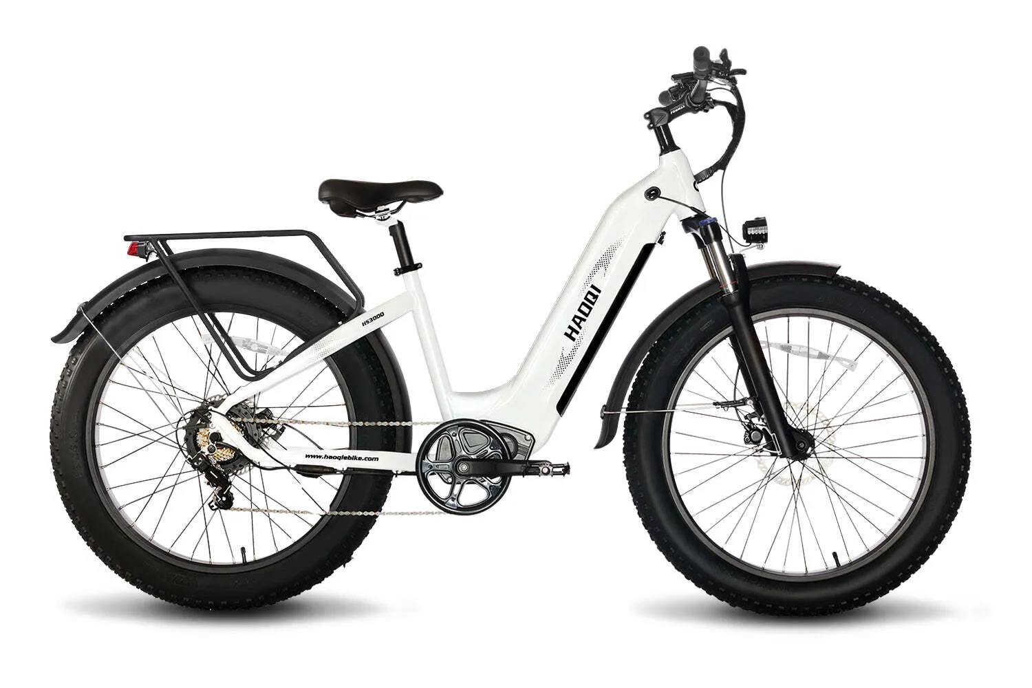 Electric Bike