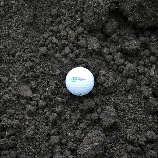 Black Dirt