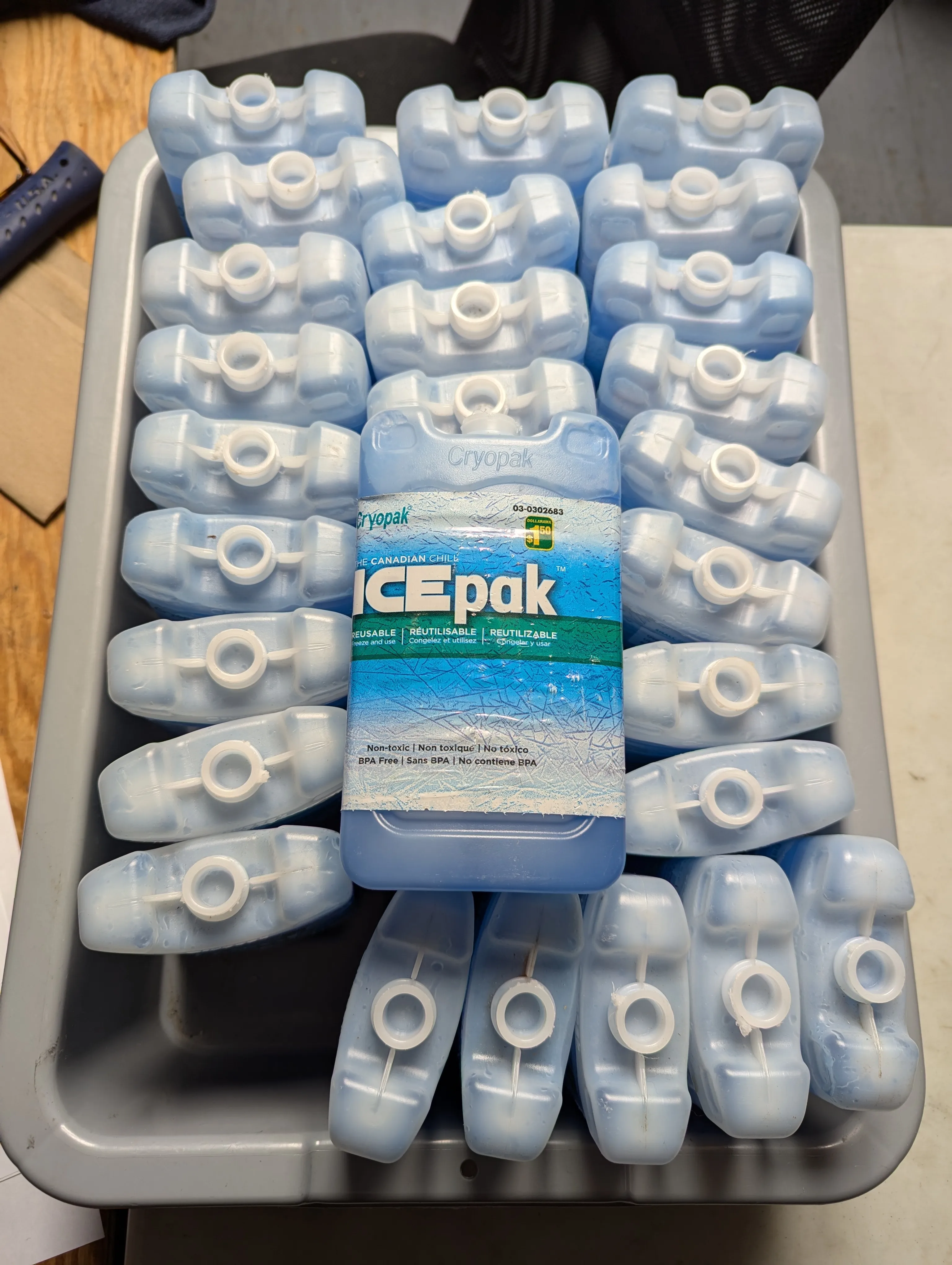 Cooler Ice Pack