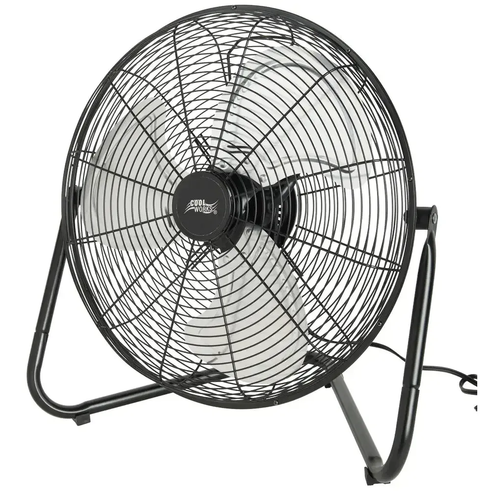 Fan