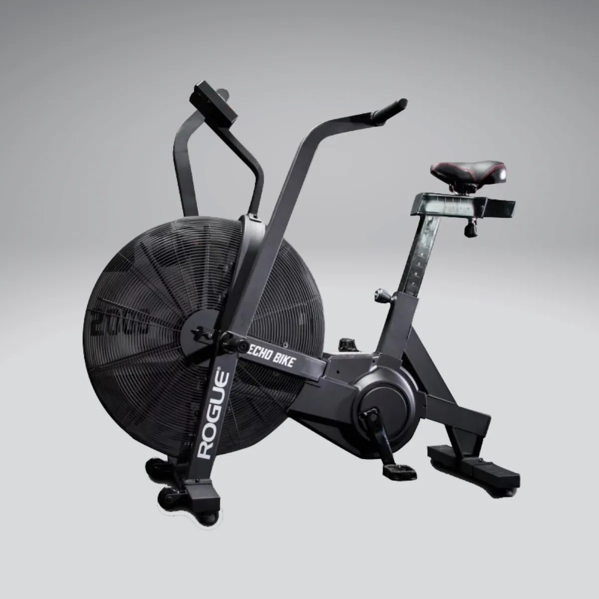 Rogue Echo Bike Hire