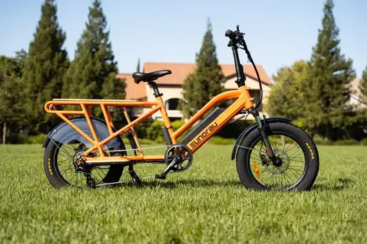 Cargo E- Bike 