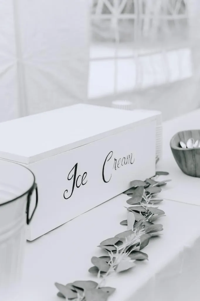 Ice Cream Box (holds 3 pails)