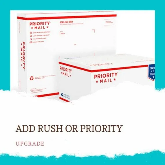Priority Delivery (Sales Item)