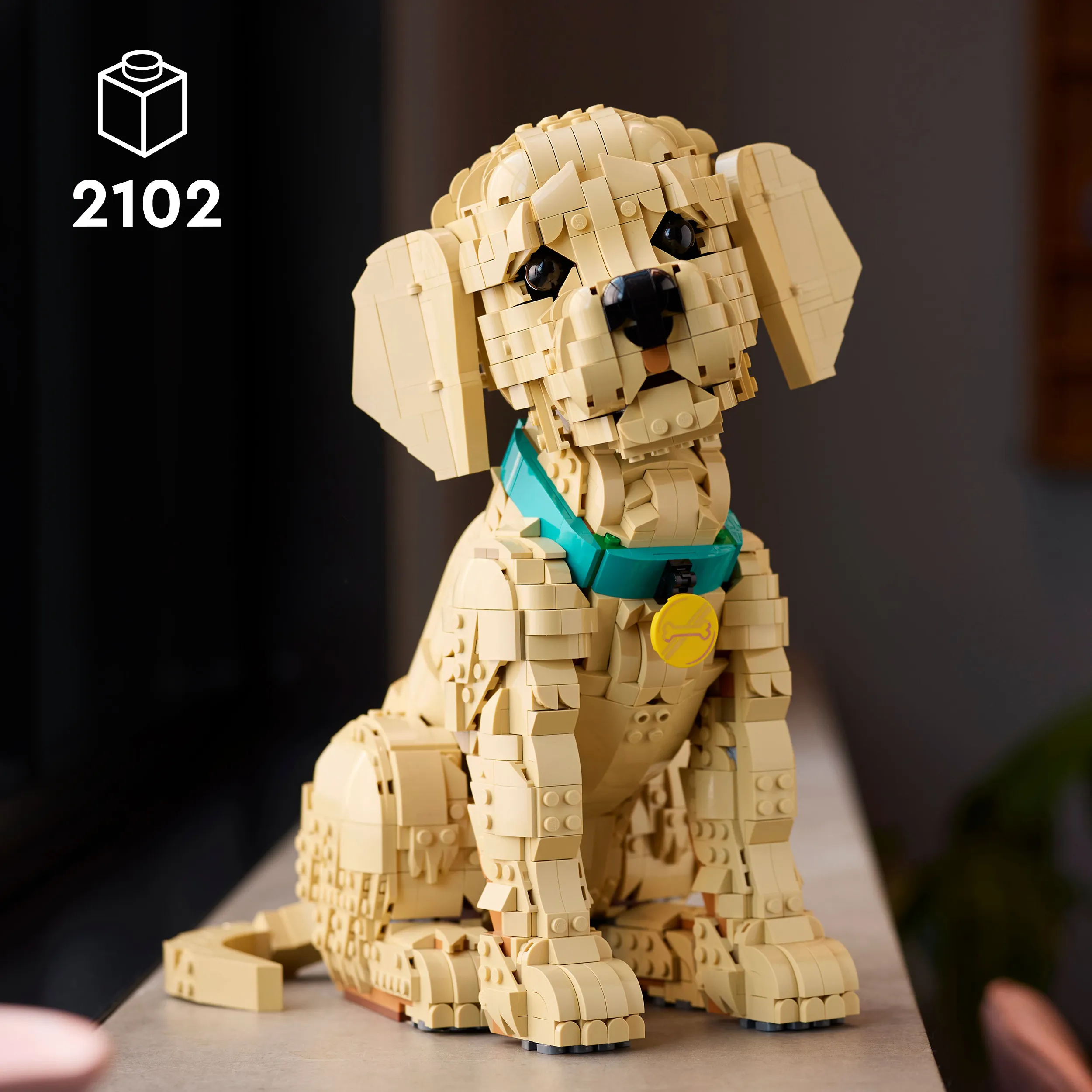11384 - ICONS - Golden Retriever Puppy