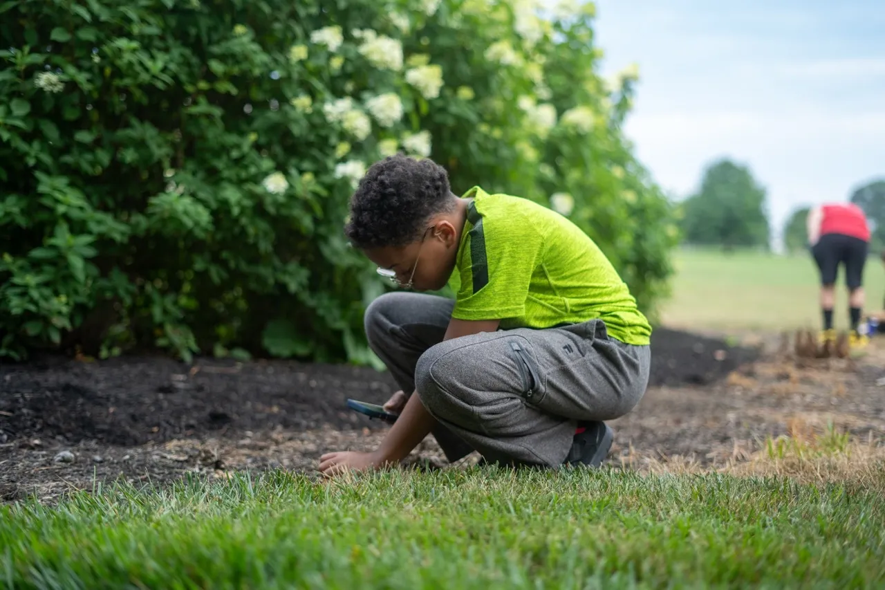 Ecological Inquiry: Nature Photography 