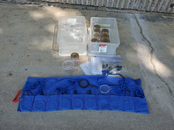Nature / Bug Exploration Kit