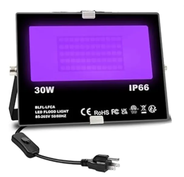 Black Light - 30W IP66