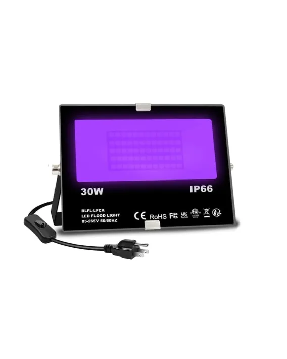 Black Light - 30W IP66