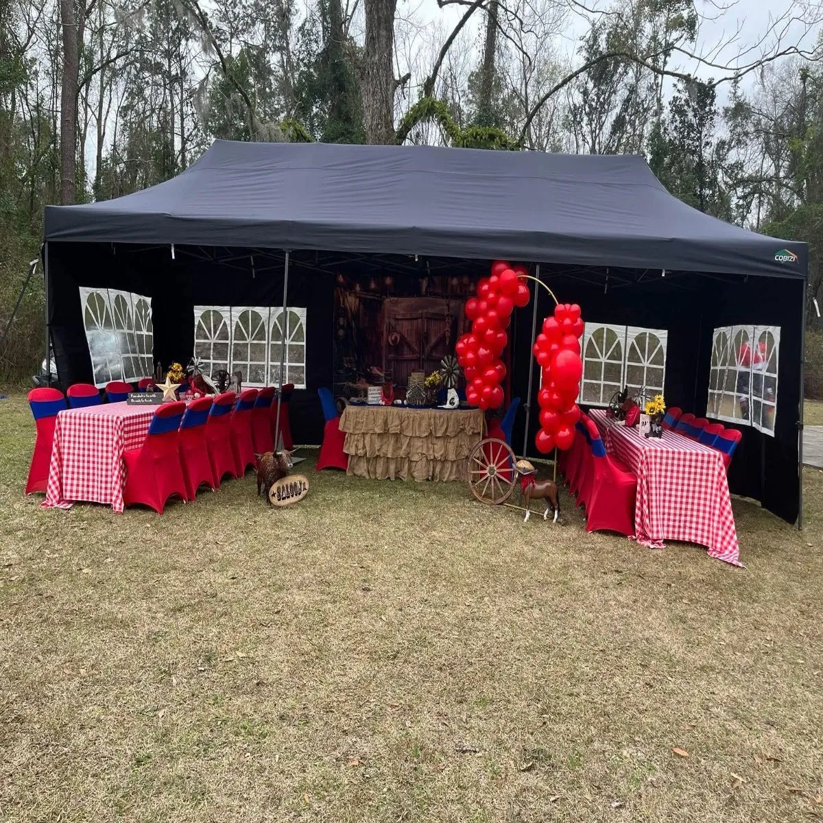 10' x 30’ (Commercial pop-up Tent)