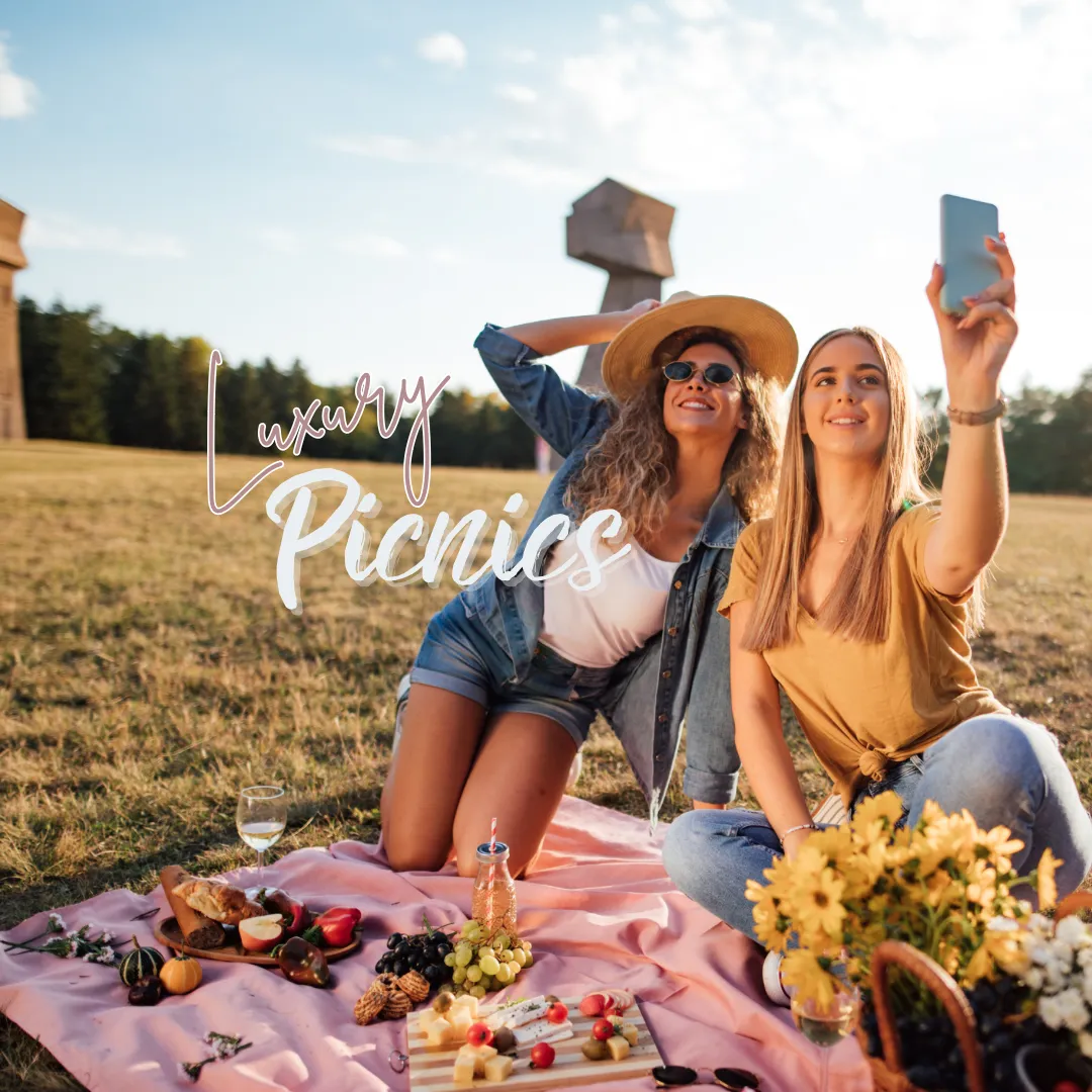Luxury Picnics