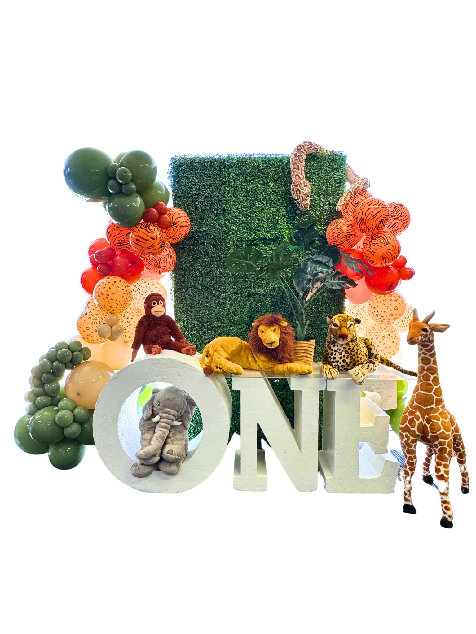 Jungle 1st Bday Package