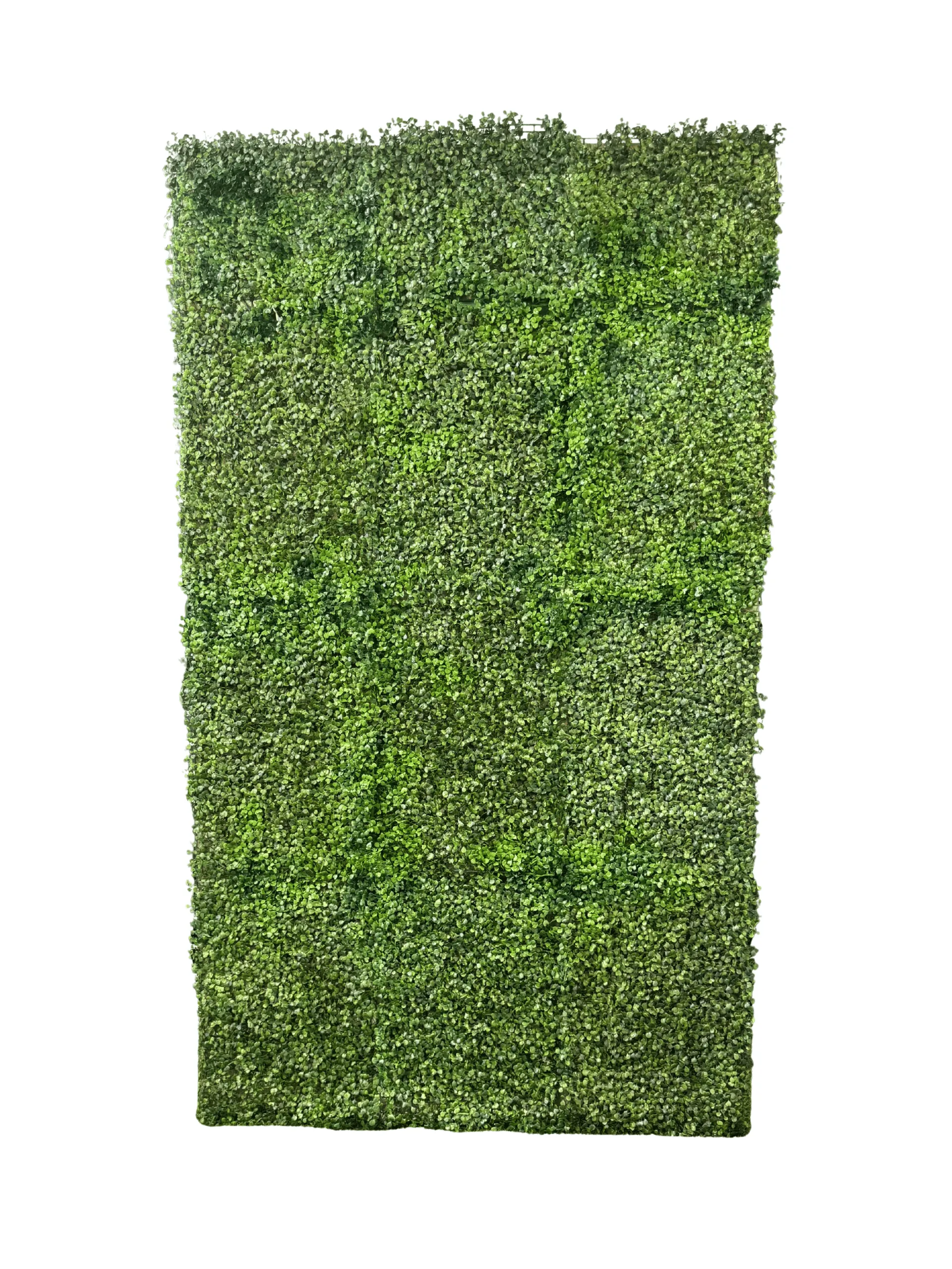 Green Boxwood Wall Hire - 1.2m x 2.1m