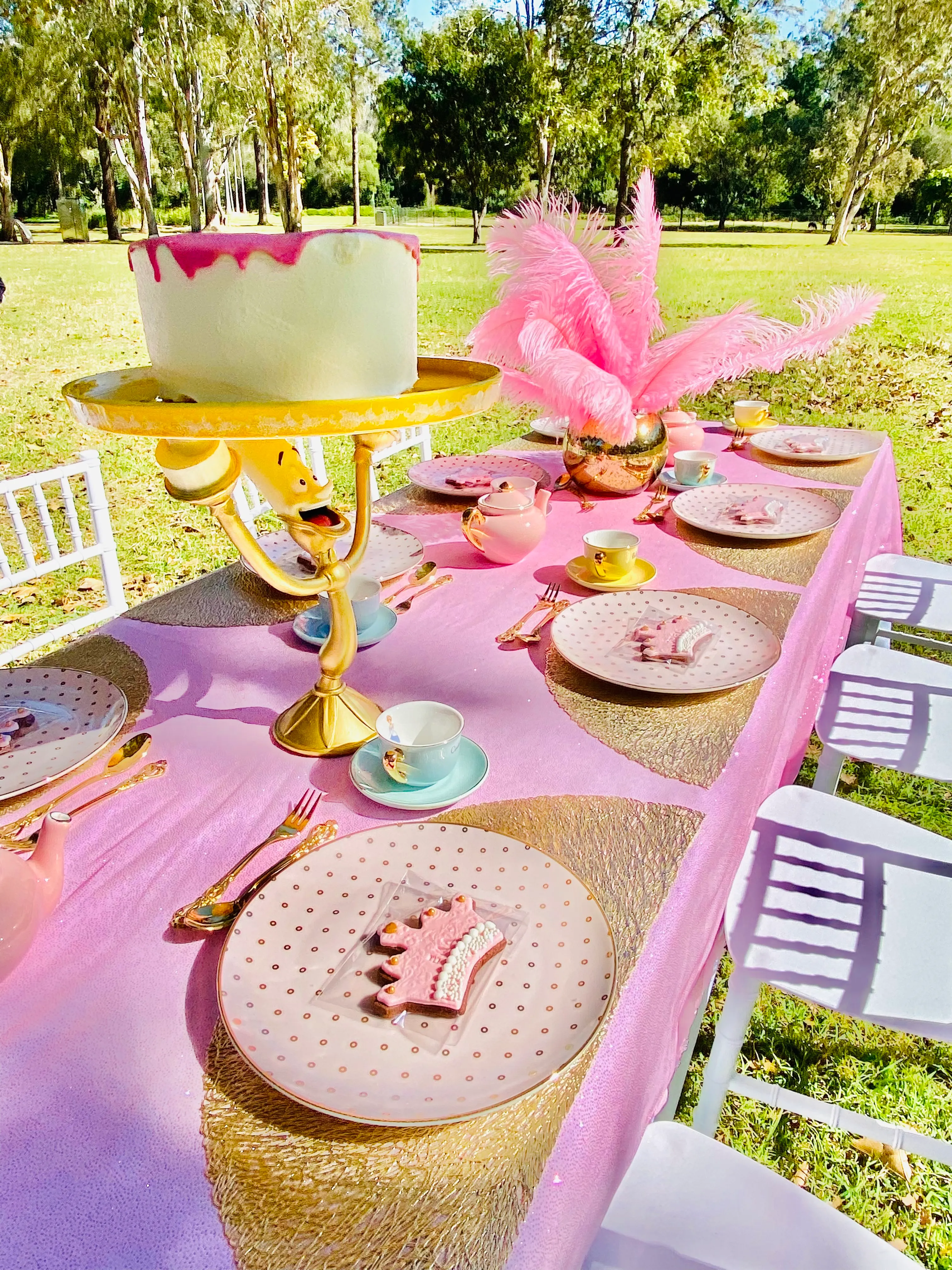 Kids Princess High Tea for 8