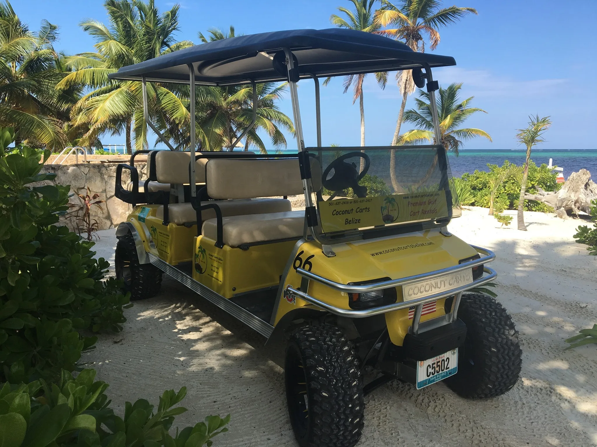 6-Passenger Golf Cart