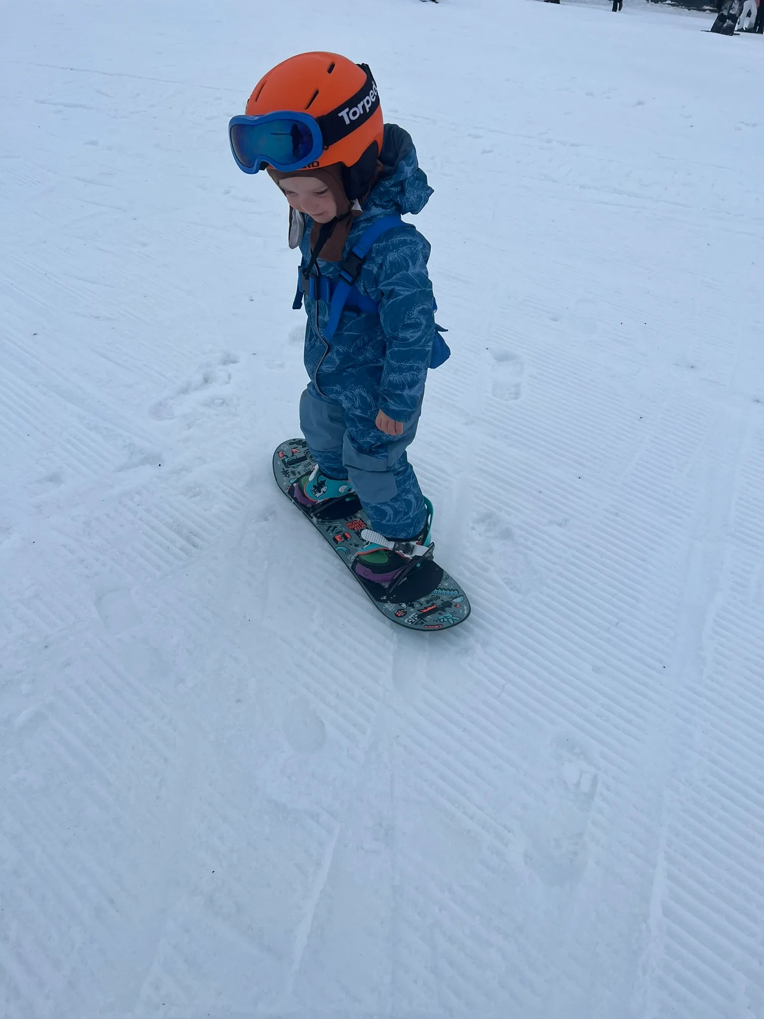 Snow Clothing + Snowboard Gear