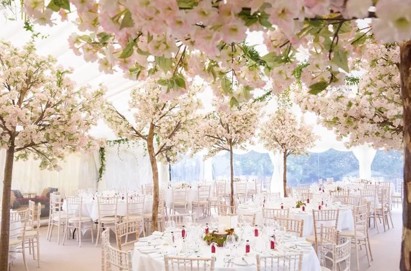 10 ft trees (SH)