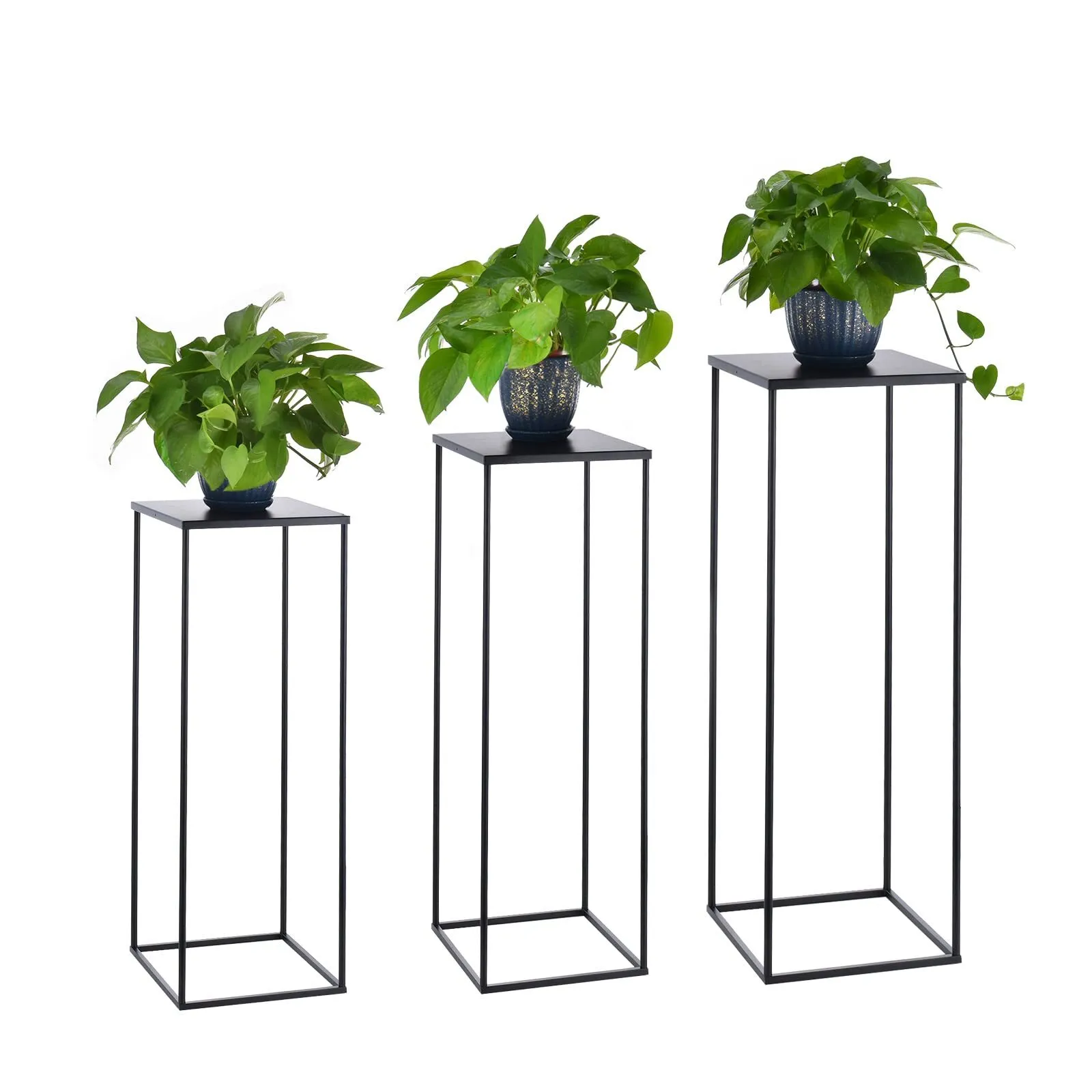 Tall black square flower stand (R) 