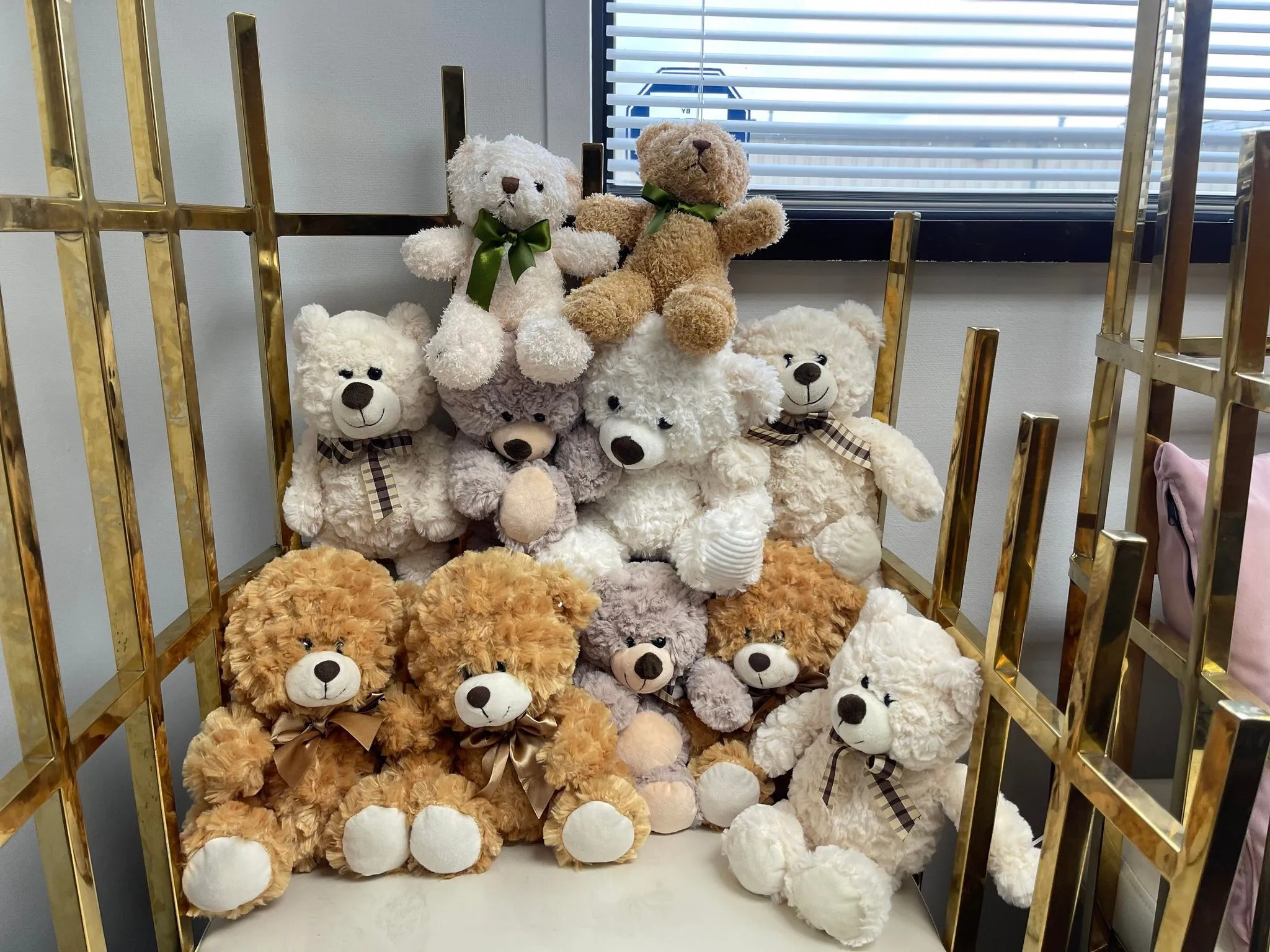 Teddy Bear (SH)