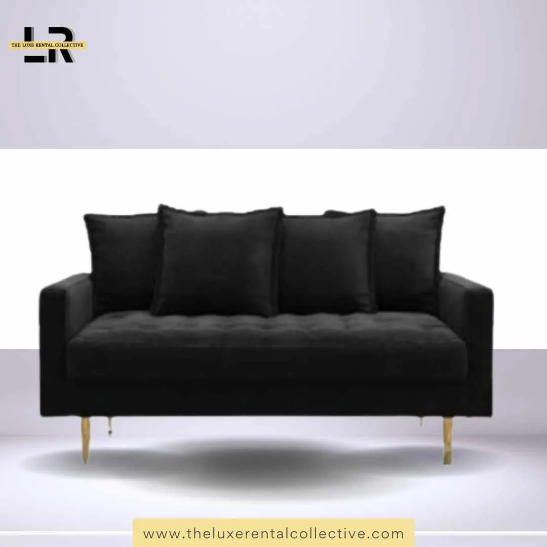 Midnight Loveseat Sofa 
