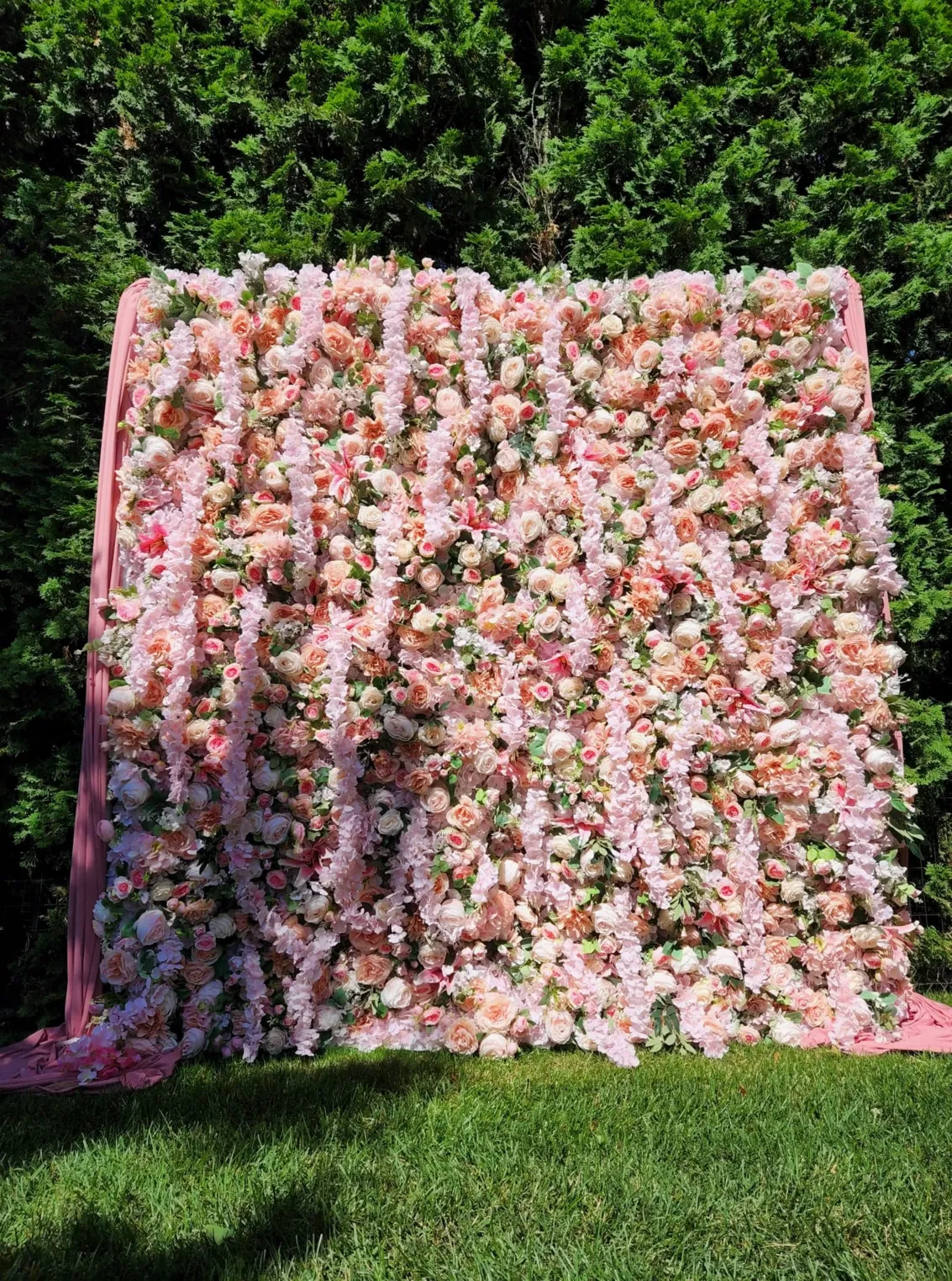 Pink Wisteria Flower Wall (SH)