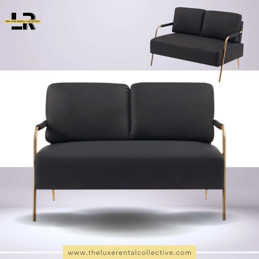 Leather Black Mini Loveseat Sofa (SH)