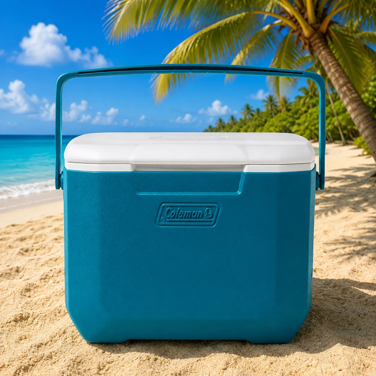 Cooler 16 Qt Carry