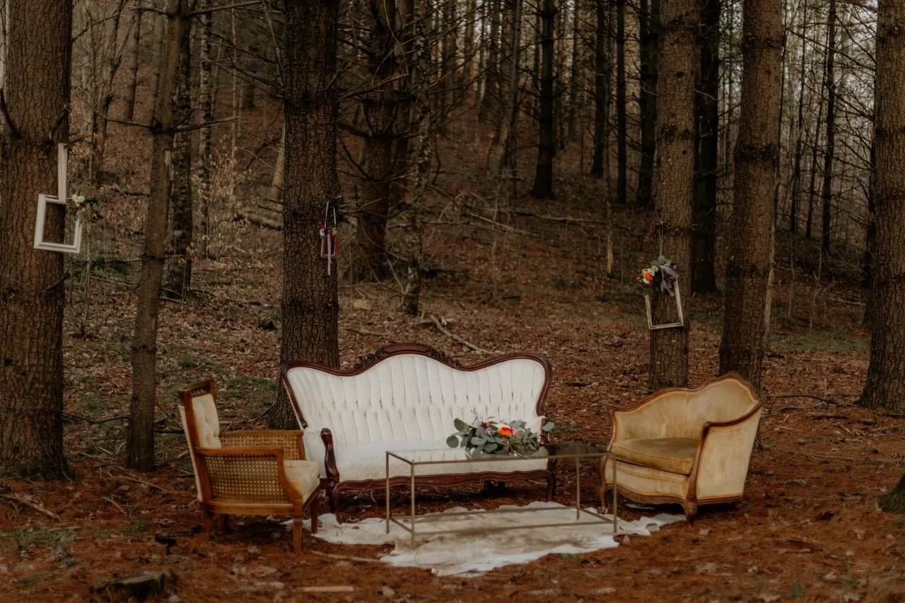 Chairs&Couches collection image