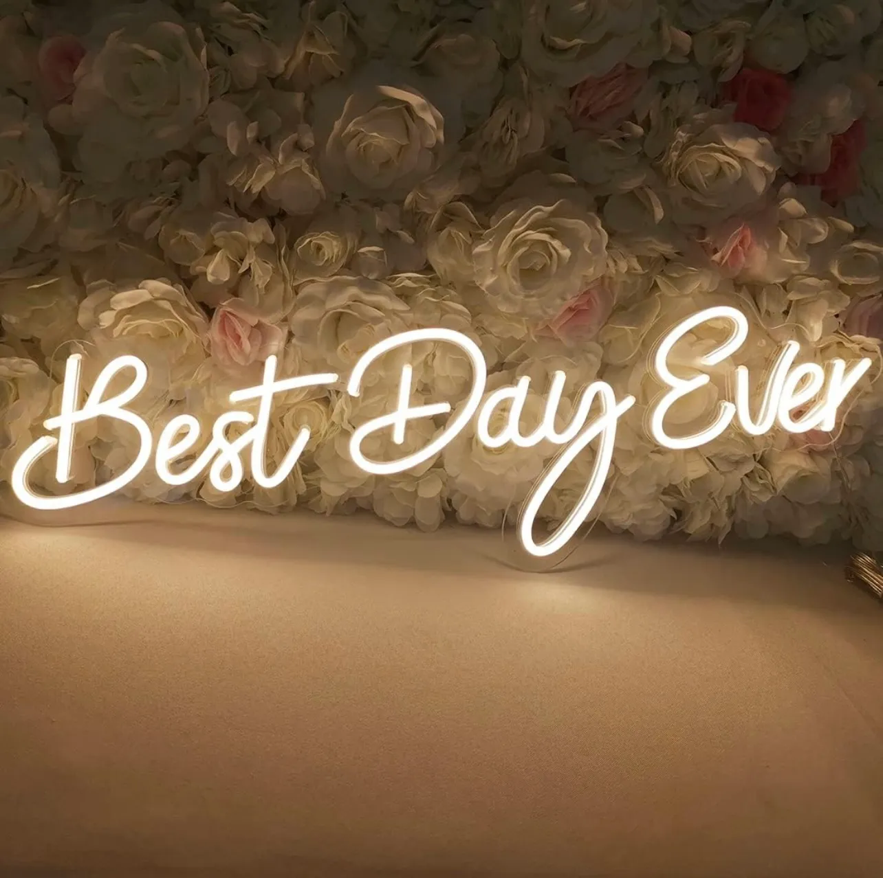 Best Day Ever Neon sign
