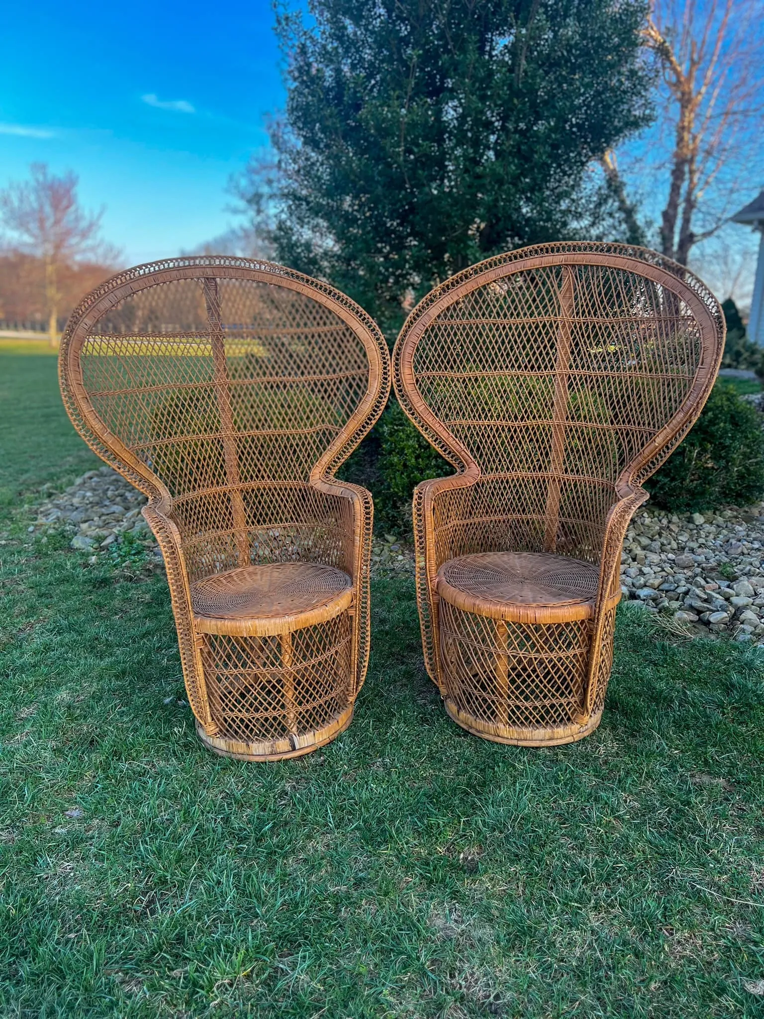 Peacock Chair