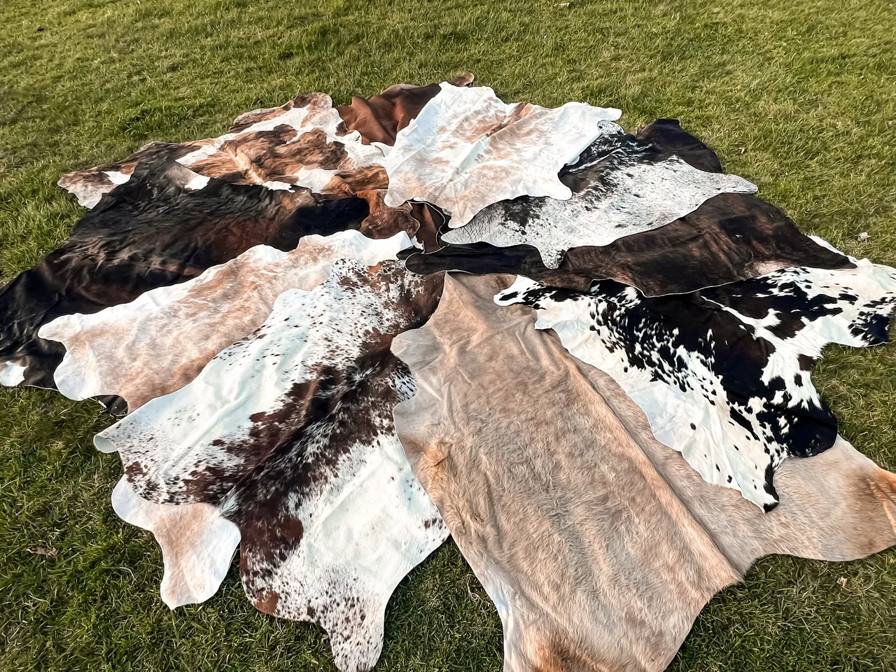 Cowhide Rugs