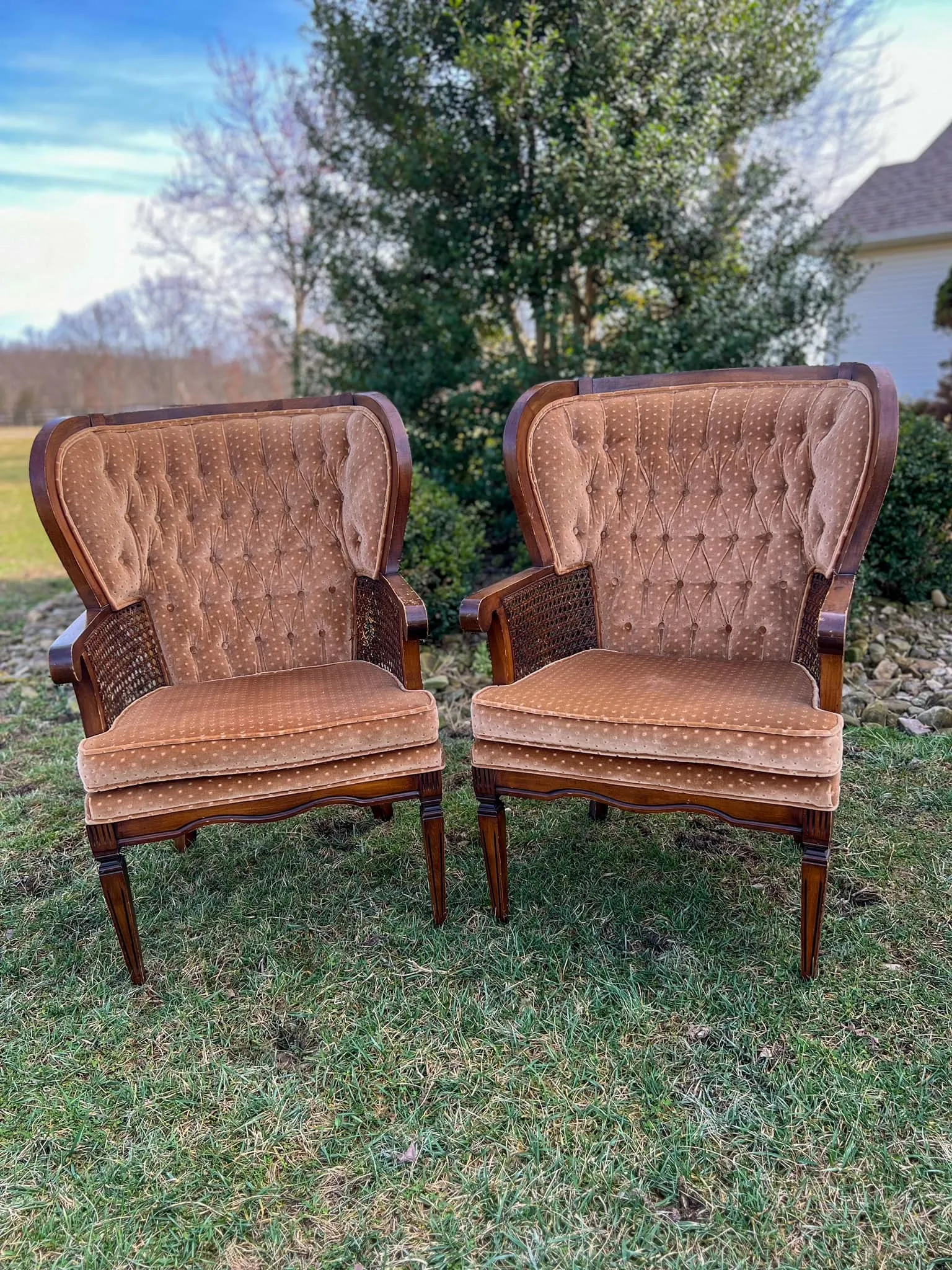 Tan wing back chair