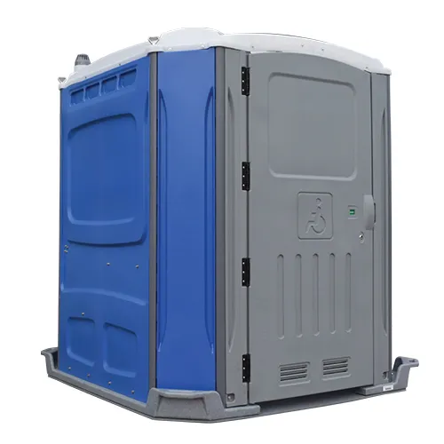 DISABLED/ACCESSIBLE TOILET 