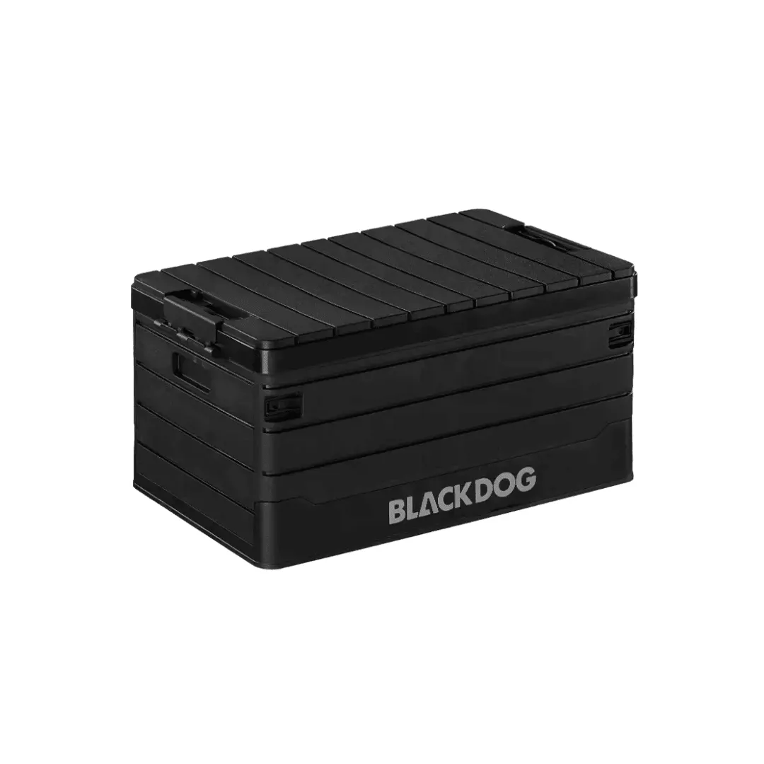 Аяны хайрцаг