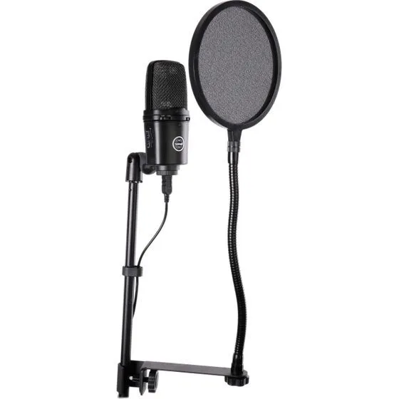 Auray PFN-6 Nylon Pop Filter with Gooseneck (6")