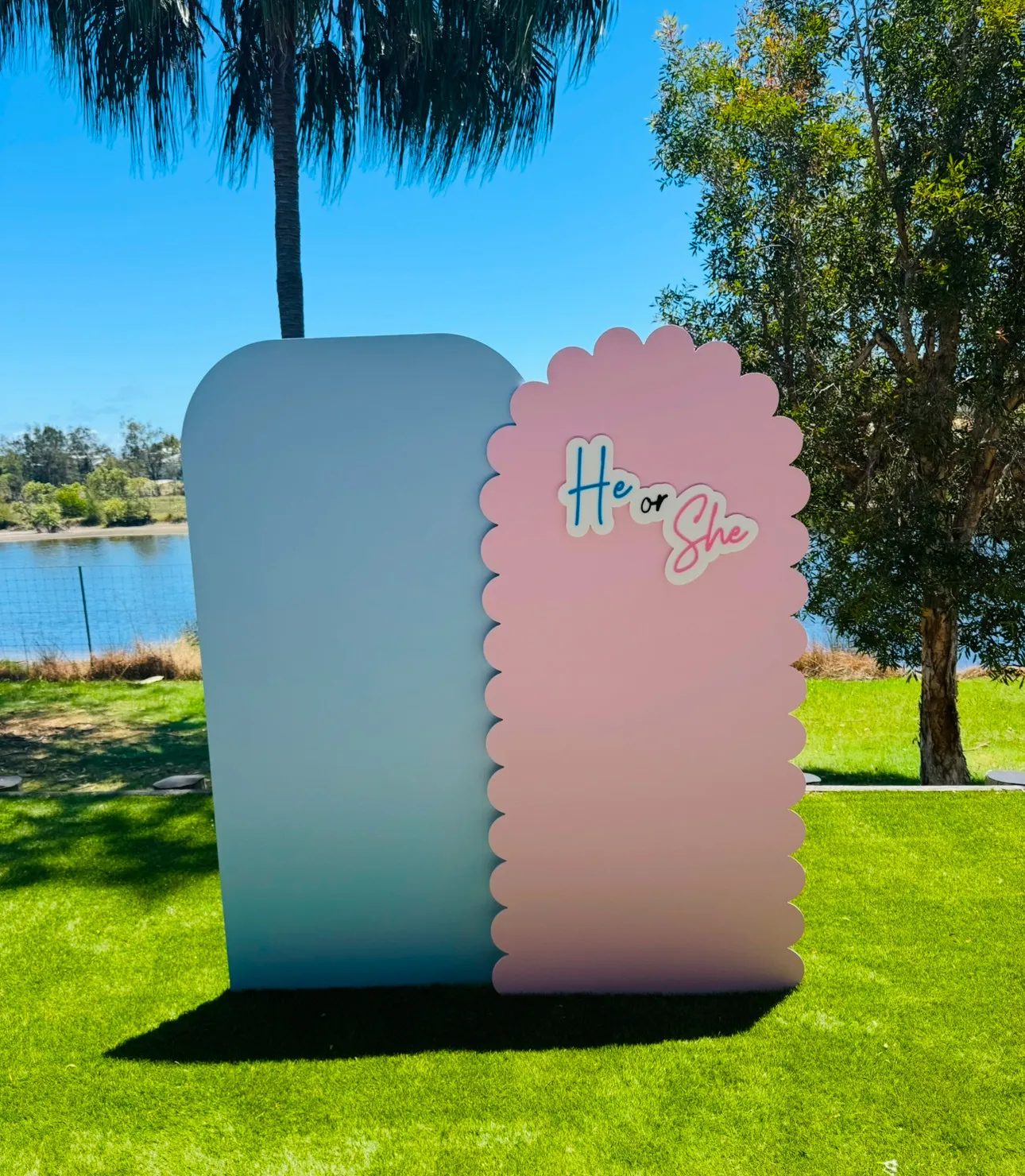 Pink & Blue Backdrop